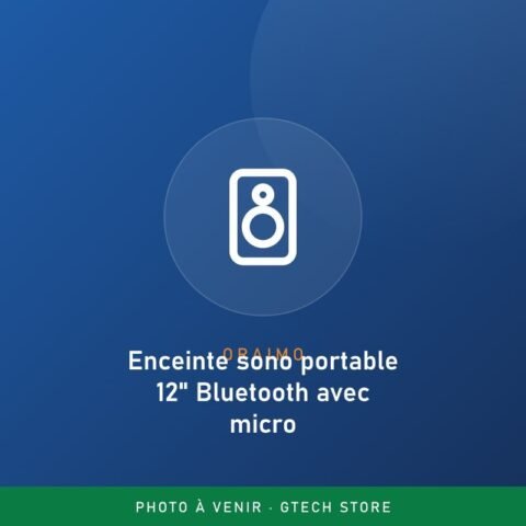 Enceinte sono portable 12&Prime; Bluetooth avec micro