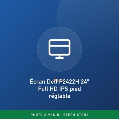 Écran Dell P2422H 24&Prime; Full HD IPS pied réglable