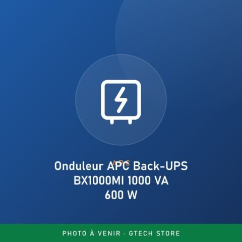 Onduleur APC Back-UPS BX1000MI 1000 VA 600 W
